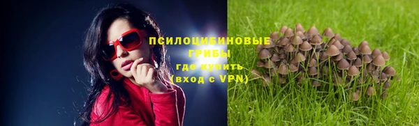 а пвп мука Алексин