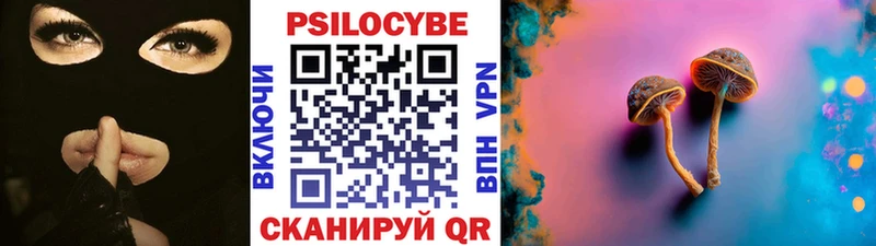 даркнет Telegram МЕГА ссылка Псилоцибиновые грибы прущие грибы Тюмень где купить наркоту