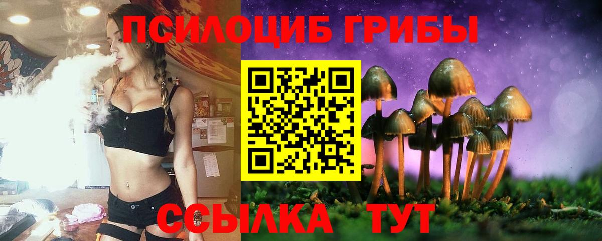 продажа наркотиков  Галлюциногенные грибы GOLDEN TEACHER  Тюмень  Вход с VPN  Галлюциногенные грибы GOLDEN TEACHER 