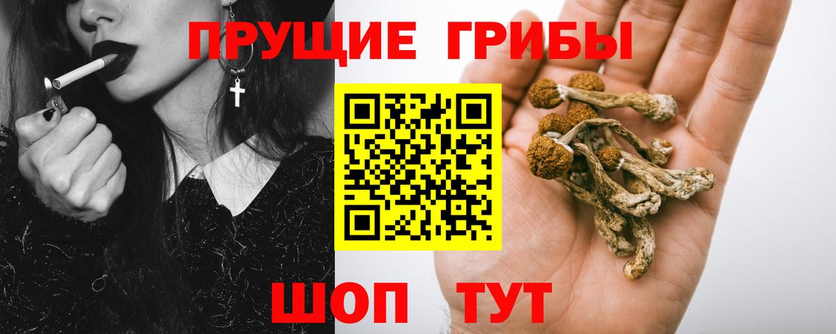 Псилоцибиновые грибы прущие грибы Тюмень